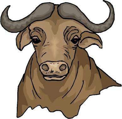 Carabao Drawing Easy, Carabao Drawing, Water Buffalo Drawing, Carabao Clipart, Inspiration Painting, Water Buffalo, Art Inspiration Painting, Easy Drawings, Buffalo