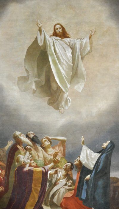 Ascension Thursday, Ascension Of Jesus, Ascension Day, Jesus Christ Art, Catholic Images, Catholic Priest, Jesus Painting, Jesus Christ Images, Biblical Art