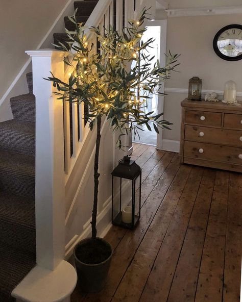 Cosy Autumn hallway... @pheebs_1 showing us how to create a warm welcome and style our beautiful faux olive tree to perfection 🖤… Cosy Hallway, Farmhouse Staircase, Christmas Hallway, Nordic House, Cosy Autumn, Hallway Inspiration, Narrow Hallway Decorating, Faux Olive Tree, Hallway Flooring