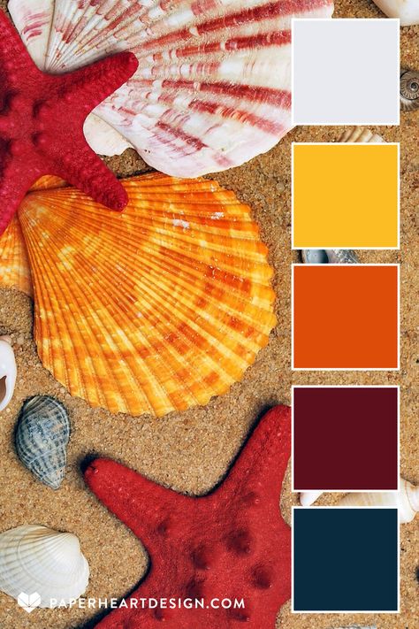 Color Palette: She Sells Sea Shells — Paper Heart Design Sand Color Palette, Hosting Events, Beach Color Palettes, Colours That Go Together, House Colours, Color Mixing Chart, Palette Design, Color Schemes Colour Palettes, She Sells Seashells