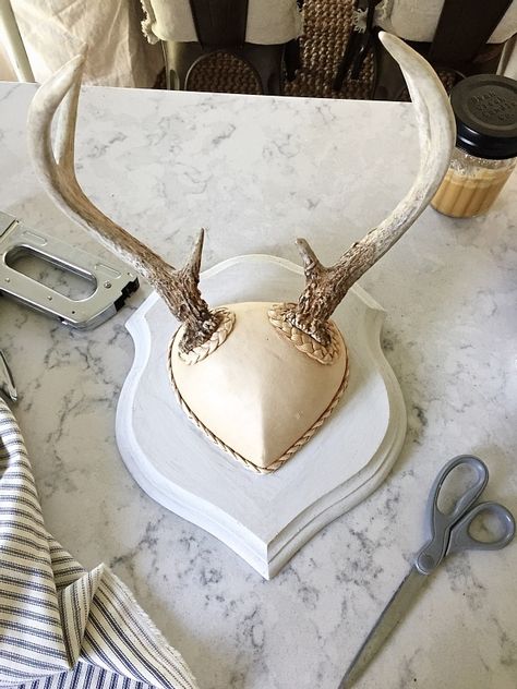 Skull Cap Antler Mount, Deer Antler Mount Ideas Display, Mounting Deer Antlers Diy, Deer Skull Painting Ideas, Deer Antler Display Ideas, Antler Mount Diy, Diy European Deer Mount, Euro Mount Ideas, Antler Diy Projects