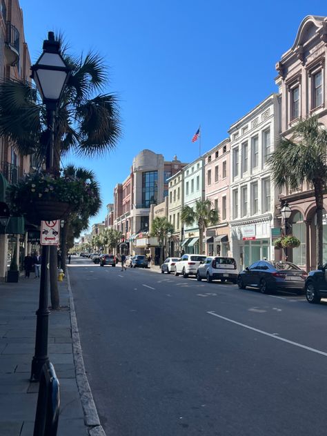 #collegeofcharleston#cofc#charleston#charlestonsc#southcarolina#kingstreet#rainbowrow#thebattery#cistern#cisternyard#sotillehouse#sotilletheater#beach#beachtownaesthetic#charlestonaesthetic#college#collegeaesthetic#spanishmoss#oaktrees#angeloak#liberalartscollege#collegecampus#randolphhall#thenotebook#porterslodge#collegelife#collegeofcharlestonaesthetic#oldmoneyaesthetic#coastalgranddaughteraesthetic#cougars#historical Charleston South Carolina Aesthetic, College Of Charleston Aesthetic, Charleston Vibes, Charleston Aesthetic, Charleston Summer, Charleston Downtown, Collage Of Charleston, Charleston Trip, Summer Senior Pictures