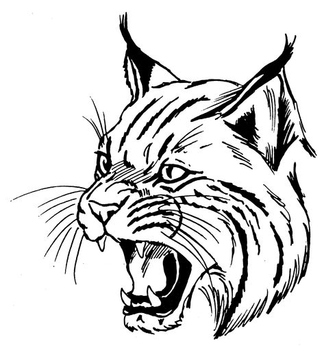 bobcat! Bobcat Drawing, Crucifix Tattoo, Drawing Clipart, Cats Artists, Simple Cartoon, Scroll Saw Patterns, Animal Heads, Drawing Videos, Animal Logo