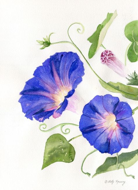 Morning Glory Flowers, Fall Canvas Painting, Columbine Flower, Floral Watercolor Paintings, Watercolour Inspiration, Diy Watercolor Painting, Watercolor Flower Art, Watercolor Painting Techniques, Simple Acrylic Paintings