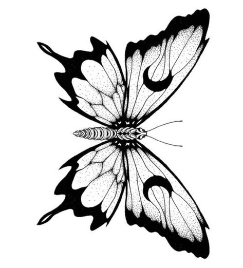 Blackwork Butterfly Tattoo, Butterfly Linework, Butterfly Moth Tattoo, Unique Butterfly Tattoo Designs, Butterfly Drawing Outline, Borboleta Tattoo, Moth Drawing, Unique Butterfly Tattoos, Traditional Tattoo Flowers