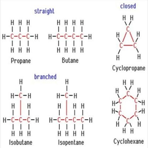 Carbon And Its Compounds, Carbon Compounds, Reflexology Chart, Science Notes, Cartoon Girl Drawing, Class 10, Study Notes, Chemistry, Coloring Pages