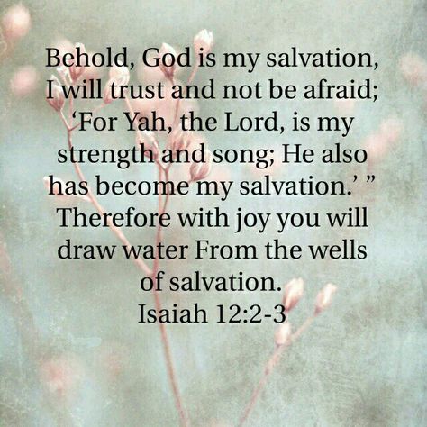 Beautiful Bible Quotes, Isaiah 12 2, Isaiah 12, Spiritual Food, Isaiah 43, Verses Quotes, Thank You Lord, Jesus Is Lord, Verse Quotes