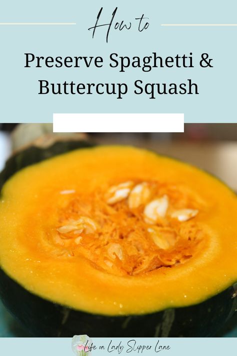 close up image of buttercup squash cut in half with bright orange center containing white seeds. Freezing Buttercup Squash, How To Cook Buttercup Squash, Canning Buttercup Squash, Preserving Spaghetti Squash, How To Freeze Butternut Squash, Preserving Squash, Preserve Squash, Freezing Spaghetti, Freeze Spaghetti Squash