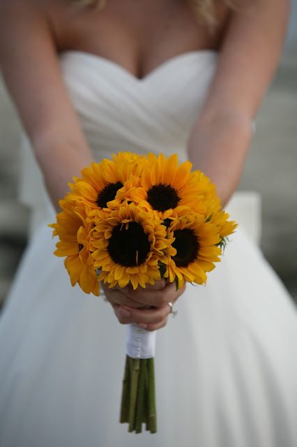 época girassol: agosto e setembro Sunflower Bridal Bouquet, Sunflower Arrangements, Sunflower Wedding Bouquet, Bridal Sunflowers, Sunflower Bouquets, Fall Wedding Bouquets, Diy Wedding Flowers, Sunflower Wedding, Bride Bouquets