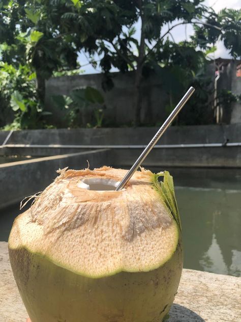 Reusable straw Coconut With Straw, Camera Phone, Reusable Straw, Straw, Coconut, Fruit, Quick Saves