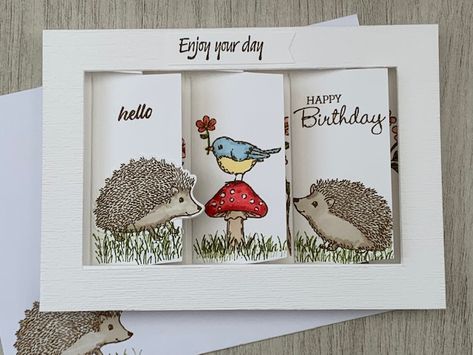 Stampin Up Hedgehogs Cards, Heron Habitat, Hedgehog Cards, Hello Ladybug, Shutter Cards, Teabag Folding, Shutter Card, Happy Hedgehog, Folding Cards