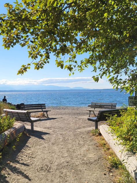 Shilshole Beach Seattle, WA Seattle Beach Aesthetic, Seattle Beach, Green Lake Seattle, Seattle Off The Beaten Path, Seattle Whale Watching, Seattle Waterfront View, Book Edits, Golden Garden, Picnic Aesthetic