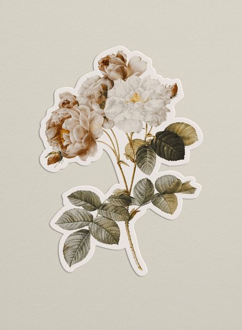 Vintage Leaves Stickers, Single Stickers Aesthetic, Stickers Flowers Aesthetic, Vintage Floral Stickers, Vintage Flowers Stickers Free Printable, Stickers For Laptop Aesthetic, Flores Aesthetic Vintage, Floral Stickers Vintage Flowers, Flowers Stickers Aesthetic