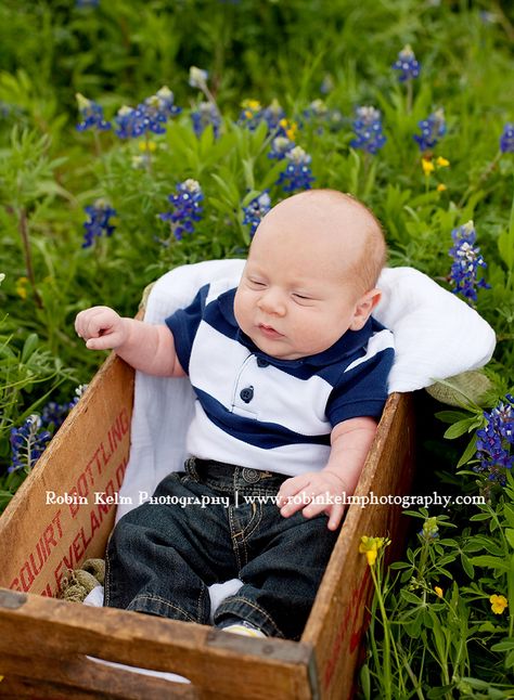 Baby Bluebonnet Pictures, Bluebonnet Pictures, Doodle Bugs, Baby Boy Newborn Photography, Baby Pic, Boy Newborn, Baby Pics, Pic Pose, Boy Pictures