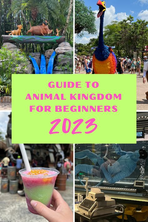 Animal Kingdom Must Do List, Animal Kingdom Food, Disney Animal Kingdom, Traveling Ideas, Usa Destinations, Disney Trip Planning, Disney Vacation Planning, Disney Outfit, Disney World Florida