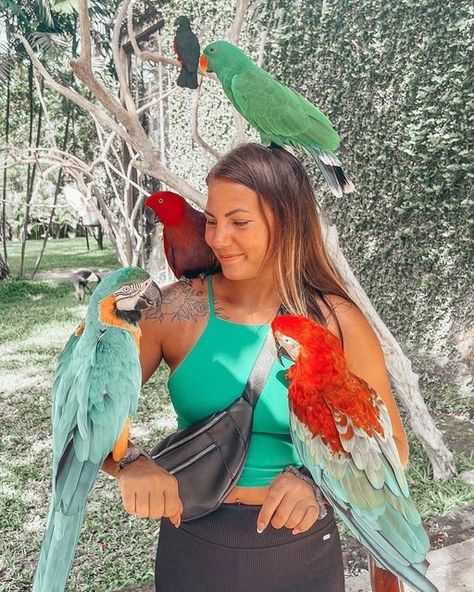 Bali Tourist, Exotic Bird, Hotel Resort, Vintage Collage, Summer Vintage, Exotic Birds, Bali Travel, Vintage Summer, The Park