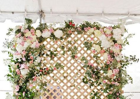 dreamy floral lattice backdrop Unusual Wedding Photos, Easter Photo Backdrop, Bridal Shower Photo Prop, Diy Flower Wall, Outdoor Bridal Showers, Easter Backdrops, Bridal Shower Backdrop, Flower Wall Wedding, Bridal Shower Photos