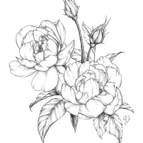 Pencil Sketches Of Flowers, Sketches Of Flowers, Mom Coloring Pages, Different Drawing Styles, Body Shape Drawing, Flower Drawings, Beautiful Sketches, Mermaid Coloring Pages, Colouring Printables