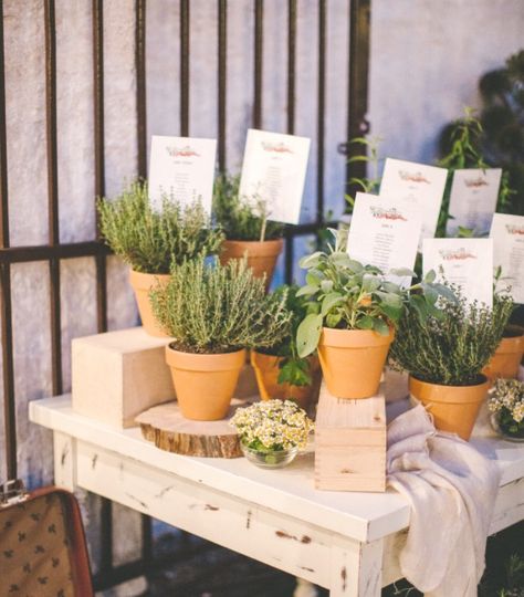 Garden Seating Chart, Italian Countryside Wedding, Terrain Wedding, European Countryside, Aisle Planner, Rustic European, Table Planner, Wedding Flower Design, Seeing Red