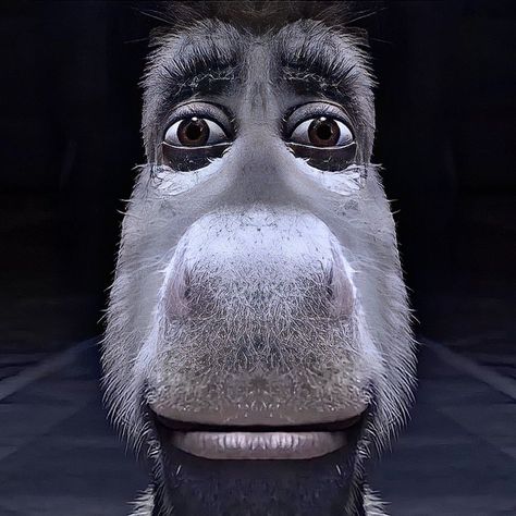 MONTERO on Twitter: "… " Donkey Funny, Shrek Funny, Shrek Donkey, Disgusted Face, Crazy Funny Pictures, Staring At You, Formda Kal, صور مضحكة, Meme Faces