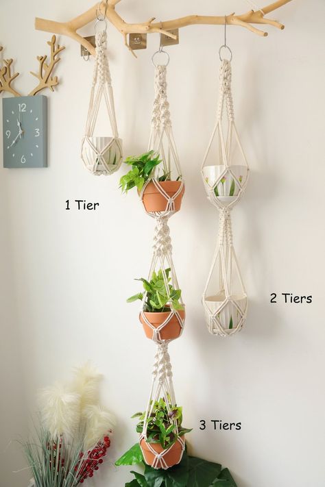 No Tassel Plant Hanger, Macrame Plant/pot Holder No Tail for Indoor Gardensingle/double/triple, Boho Wall Hanging Home Decor - Etsy Macrame Plant Pot, Plant Holder Diy, Plant Pot Holder, Plant Hanger Macrame, Diy Designs, Plant Pot Holders, Macrame Hanger, Hanging Home Decor, Macrame Patterns Tutorials