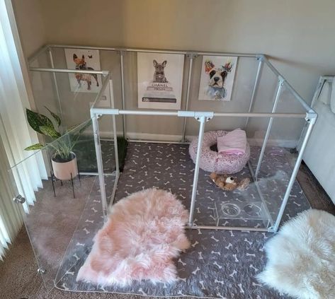 Dog Fence Ideas Indoor, Dog Indoor Area, Dog Cage Inside House, Pink Dog Room Ideas, Bedroom With Dog Area, Cute Puppy Set Ups, Modern Dog Room, Doggie Room Ideas Bedrooms, Puppy Bed Aesthetic