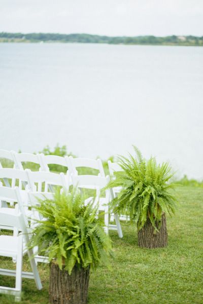 ferns and flowers Wedding Arch With Ferns, Ferns For Wedding Ceremony, Fern Themed Wedding, Houseplant Centerpiece Wedding, Ferns Wedding Decor, Houseplant Wedding, Fern Wedding Decor, Fern Decor, Wedding Trellis