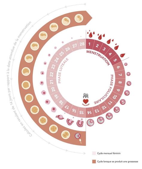 Pregnancy Kit, Ovulation Cycle, Natural Family Planning, Pregnancy Tracker, Ovulation Test, Ways To Get Pregnant, Baby Delivery, Womb Healing, Healthy Life Hacks