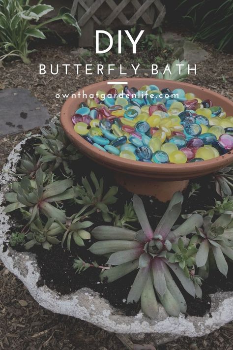 try this creative way to make a butterfly bath to add to your garden! it'll help the butterflies and other pollinators too! Garden Border Ideas, Art Creative Ideas, Butterfly Bath, Butterfly Feeders, Butterfly Garden Plants, Butterfly Garden Design, Butterfly Habitat, Butterfly Houses, Garden Insects