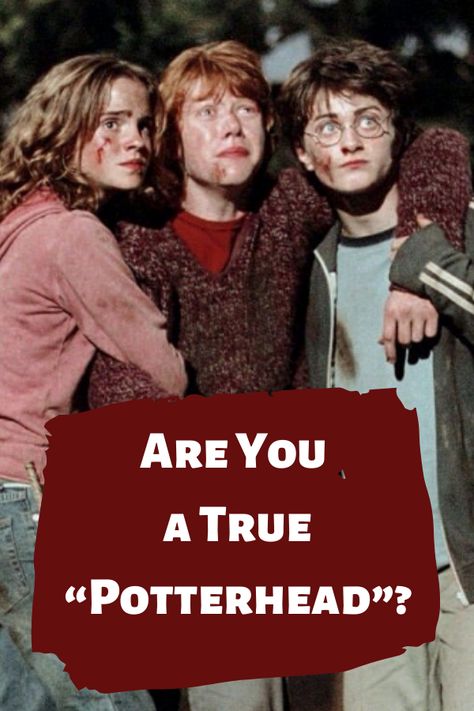 Harry Potter Character Quiz, Harry Potter Trivia, Quiz Harry Potter, Harry Potter Trivia Quiz, Pottermore Quiz, Harry Potter Play, Harry Potter Test, Bff Quizes, The Golden Trio