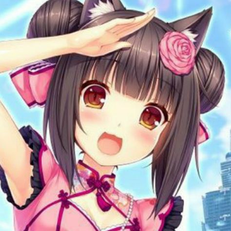 Chocola Nekopara, An Anime, We Heart It, Lost, On Twitter, Twitter, Hair, Anime, Pink