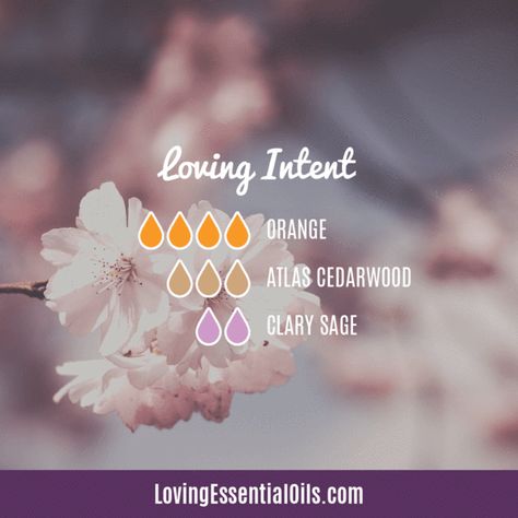 Clary Sage Diffuser Blends - Restore Vitality & Strength Sage Diffuser Blends, Clary Sage Oil, Perfume Recipes, Clary Sage Essential Oil, Sage Oil, Sage Essential Oil, Oil Diffuser Recipes, Essential Oil Diffuser Recipes, Cedarwood Essential Oil