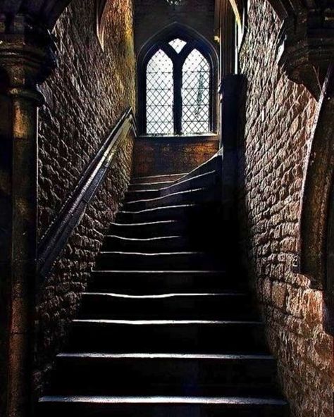 Corvina Clemm, Chateaux Interiors, Moody Decor, Haunted Castle, Stairway To Heaven, Haunted Places, Throne Of Glass, Gothic House, Pose Reference Photo