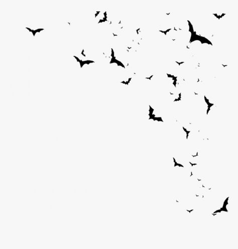 Bats White Background, Bat Png Aesthetic, Bats Flying Silhouette, Bats Flying Drawing, Bats Flying Tattoo, Bat Overlay, Bats Aesthetic, Bats Clipart, Bats Drawing