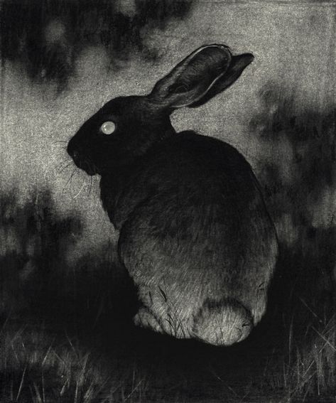 Sam Wolfe Connelly Rabbit Drawing, Black Bunny, Watership Down, Rabbit Painting, Bunny Drawing, Rabbit Art, Bunny Art, Spirit Animal, Dark Aesthetic