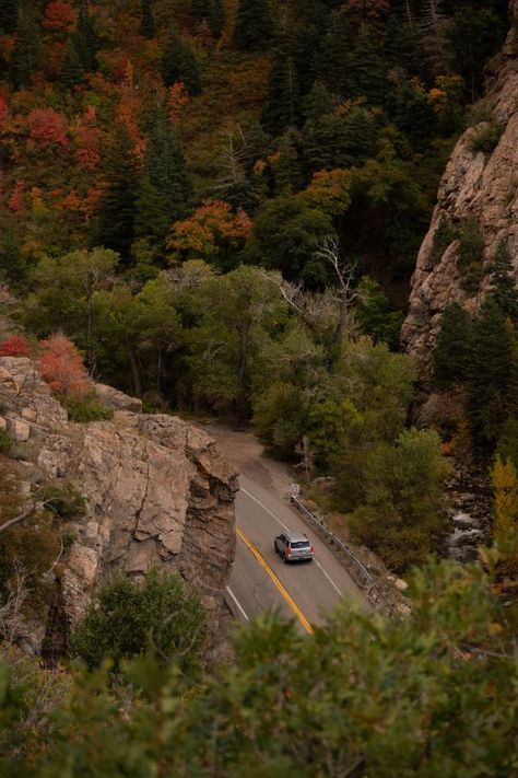 Big Cottonwood Canyon, Utah, USA Big Cottonwood Canyon Utah, Cottonwood Canyon Utah, Utah Usa, Lock Screen Wallpaper, Plein Air, State Parks, Utah, Phone Wallpaper, Tattoos