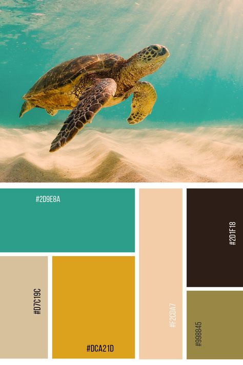 #colorpalette #palette #color #colorscheme #colorswatch #colourpalette #colorinspiration #inspiration #graphicdesign #branding #design #hexcode Turtle Color Palette, Hawaii Color Palette, Colors Combinations, Beach Bathroom, Color Schemes Colour Palettes, Brand Color Palette, Palette Color, Hawaii Beach, Beach Bathrooms