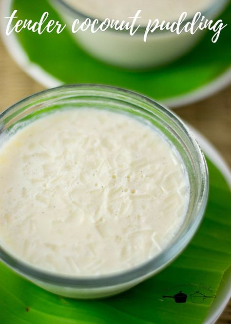 Coconut Pudding Recipes, Tender Coconut Pudding, Eggless Pudding, Malai Recipe, Desserts Pudding, Tender Coconut, Pumpkin Pudding, Coconut Pudding, Best Cinnamon Rolls