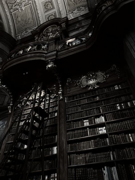 Dark Victorian Aesthetic, Haunted House Inspiration, Gothic Library, Gothic Academia, Gothic Castle, Victorian Aesthetic, Library Aesthetic, Goth Wallpaper, Dark Pictures