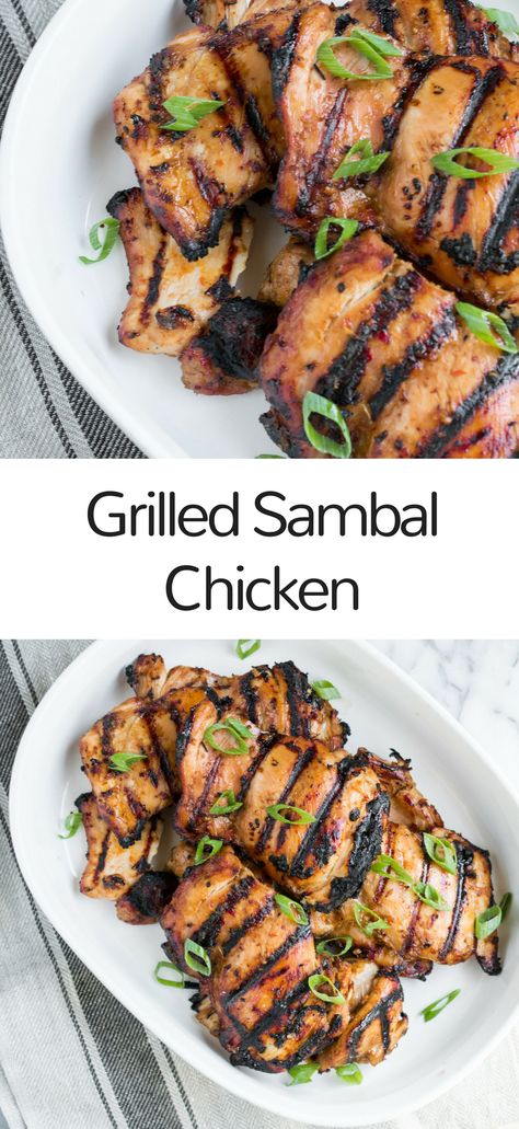 Sambal Chicken Chicken Sambal, Sambal Chicken, Sambal Recipe, Chicken Bbq, Sambal Oelek, Healthy Grilling Recipes, Chicken Entrees, Grilled Chicken Recipes, Beef Casserole