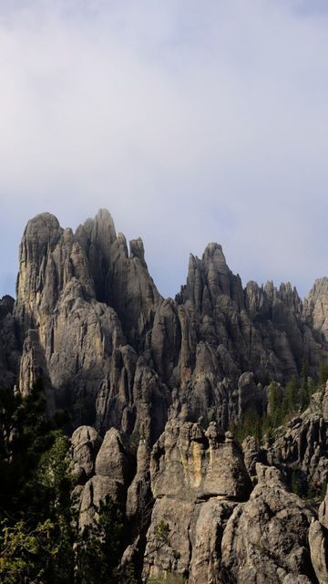 SARAH | travel & adventure on Instagram: "⬇️ Cathedral Spires in Custer State Park 🌲 When visiting the Black Hills of South Dakota not only should Custer State Park be on your itinerary, but you have to make sure you drive the Needles Highway scenic drive (14 miles) and stop to see the Cathedral Spires. 👀 View the geologic formation from the parking lot or by walking a little down the trail (like I did) OR 🥾 Hike the Cathedral Spires trail, 1.6 miles one-way 🌎 Follow @sarrahyouung fo Needles Highway, South Dakota Travel, Black Hills South Dakota, Sylvan Lake, Custer State Park, Badlands National Park, Black Hills, Scenic Drive, National Monuments