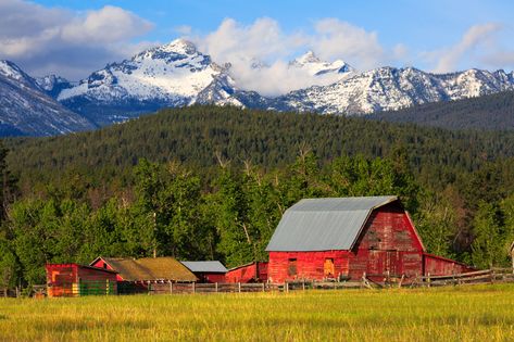 Montana Family Vacation, Montana Photography, Montana Cabin, Montana Vacation, Big Sky Country, Alpine Lake, Family Vacations, Old Barns, Scenic Routes