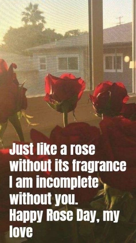 Rose Day Quotes For Him, Quotes For Him Aesthetic, Rose Day Special, Rose Love Quotes, Rose Day Pic, Rose Day Quotes, Valentines Quotes For Him, Happy Valentines Day Quotes For Him, Him Aesthetic