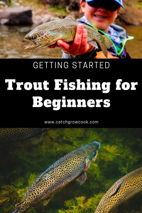 Are you interested in learning how to fish for trout? This beginner's guide to trout fishing will cover all the basics to get you started so you can begin catching your own monster trout. Learn how to trout fish. Fish for trout in a lake. Best trout fishing lures. Bait for trout fishing. Trout fishing rig setup. Trout fishing tips. Trout fishing gear. Rainbow trout fishing. trout fishing basics. Trout fishing spots near me. Hypixel Skyblock, How To Catch Trout, Fish For Beginners, Trout Fishing Gear, Trout Fishing Lures, Fishing Pond, Fishing Basics, Rainbow Trout Fishing, How To Fish