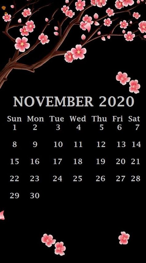 November 2020 Calendar Iphone Wallpaper Wedding Calendar Design, Iphone Wallpaper November, November 2021 Calendar, Wallpaper November, June Calendar Printable, 2020 Wallpaper, Wedding Calendar, Daily Schedules, Make A Calendar