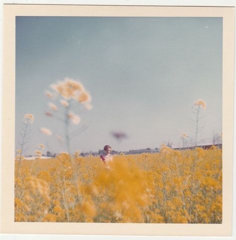 Polaroid Pictures, Photography Subjects, Mellow Yellow, Pics Art, Photography Inspo, Vintage Photography, Aesthetic Photo, Aesthetic Photography, Film Photography