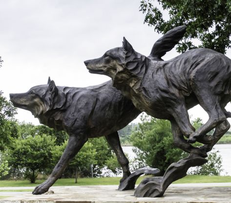 Wolf Reference, Wolf Statue, Dog Portrait Drawing, Wolf Sculpture, Wolf Running, Wolf Lodge, Greek Gods And Goddesses, Red Wolf, Sculpture Park