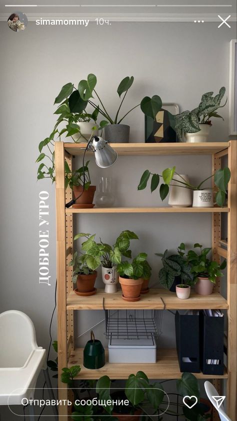 Plant Decor Indoor, Plant Aesthetic, House Plants Decor, Plant Stands, Plant Shelves, Cozy Room, Room Inspiration Bedroom, Room Ideas Bedroom, Aesthetic Room Decor