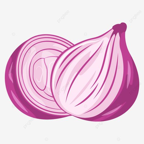 Red Onion Illustration, Onions Illustration, Onion Aesthetic, Cookbook Drawings, Onion Clipart, Onion Illustration, Onion Cartoon, Onion Art, Onion Drawing