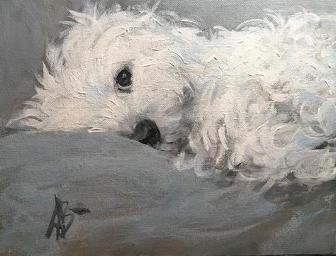 Bichon Frise Watercolor, Bichon Frise Paintings, White Dog Painting Acrylic, Maltese Dog Drawing, White Dog Drawing, Maltese Painting, Maltese Drawing, White Dog Painting, Dog Art Drawing